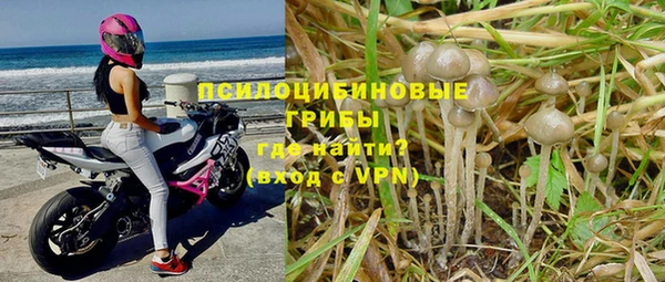 ешки Ельня