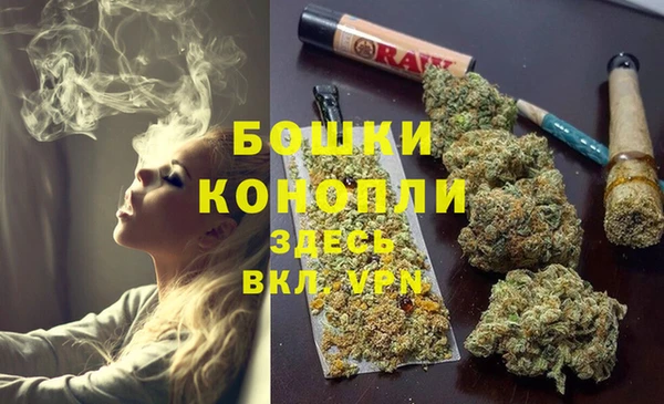 ешки Ельня