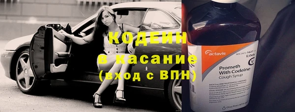 ешки Ельня