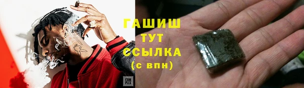 ешки Ельня