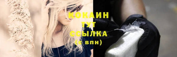 ешки Ельня