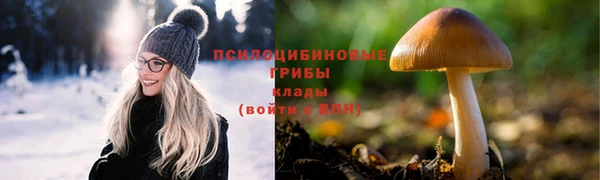 ешки Елизово