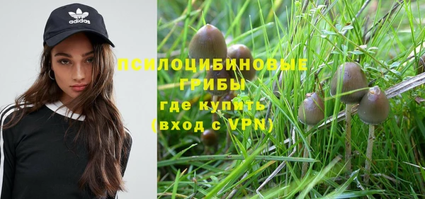 а пвп мука Заволжье