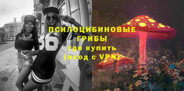 ешки Ельня
