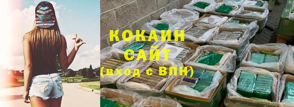 ешки Ельня