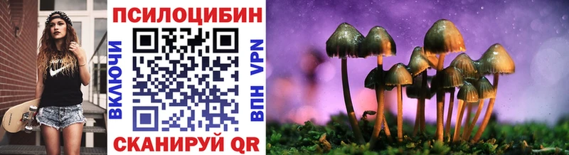Галлюциногенные грибы Psilocybine cubensis Карачаевск