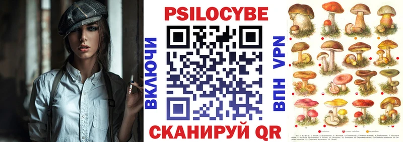 Купить где  Карачаевск  Псилоцибиновые грибы Cubensis 